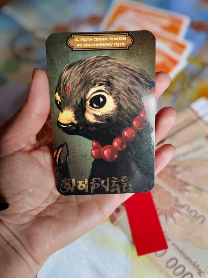 Игра Территория жизни — процесс игры