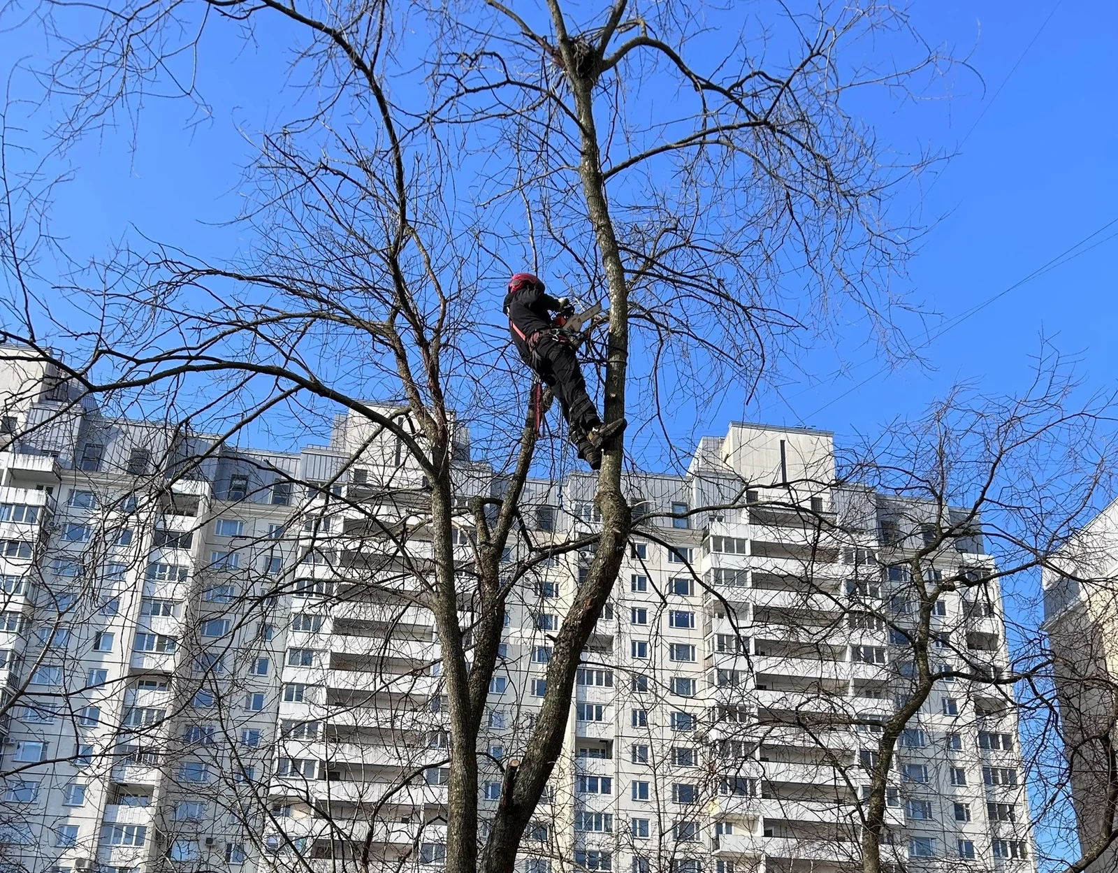 Расчистка 15 соток запущенного участка