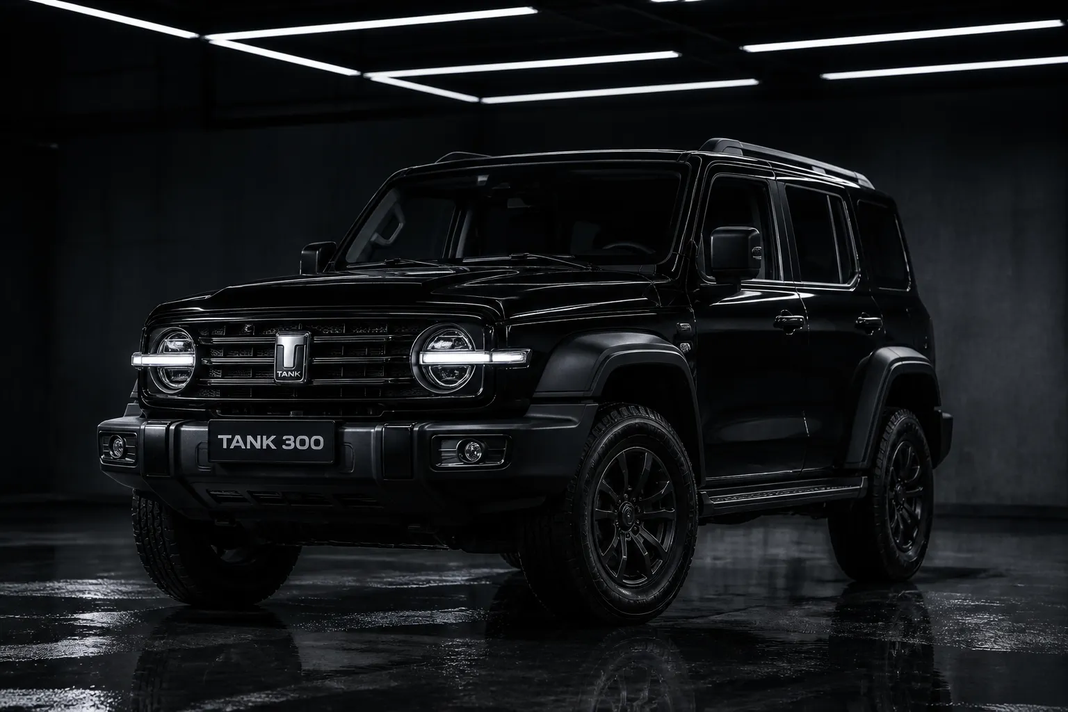 Tank 300