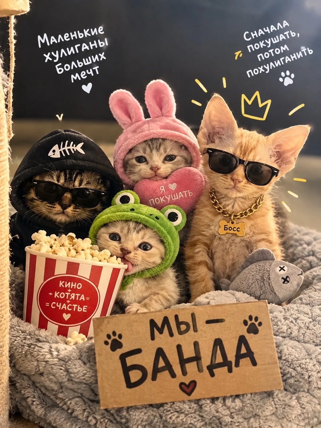 Котята-бандиты