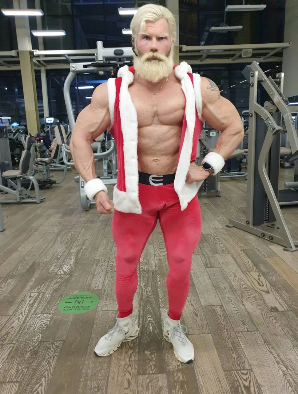 Новогодний ведущий на сцене