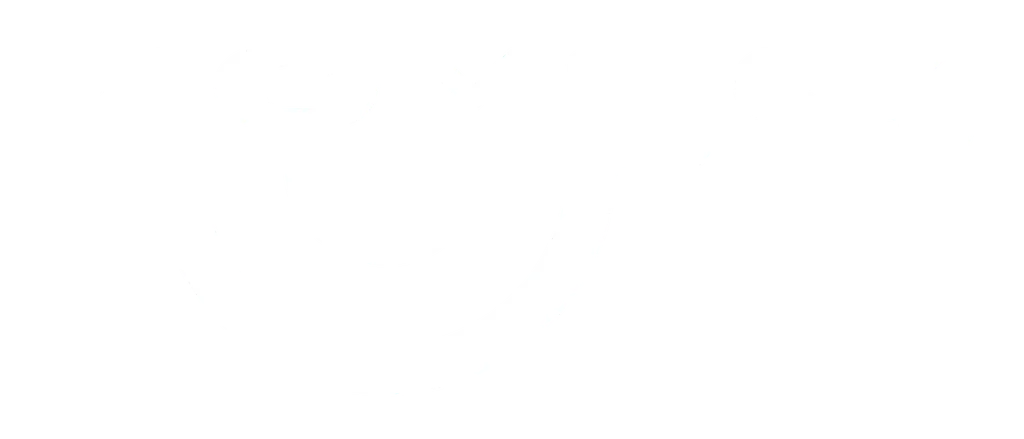 Логотип Homas
