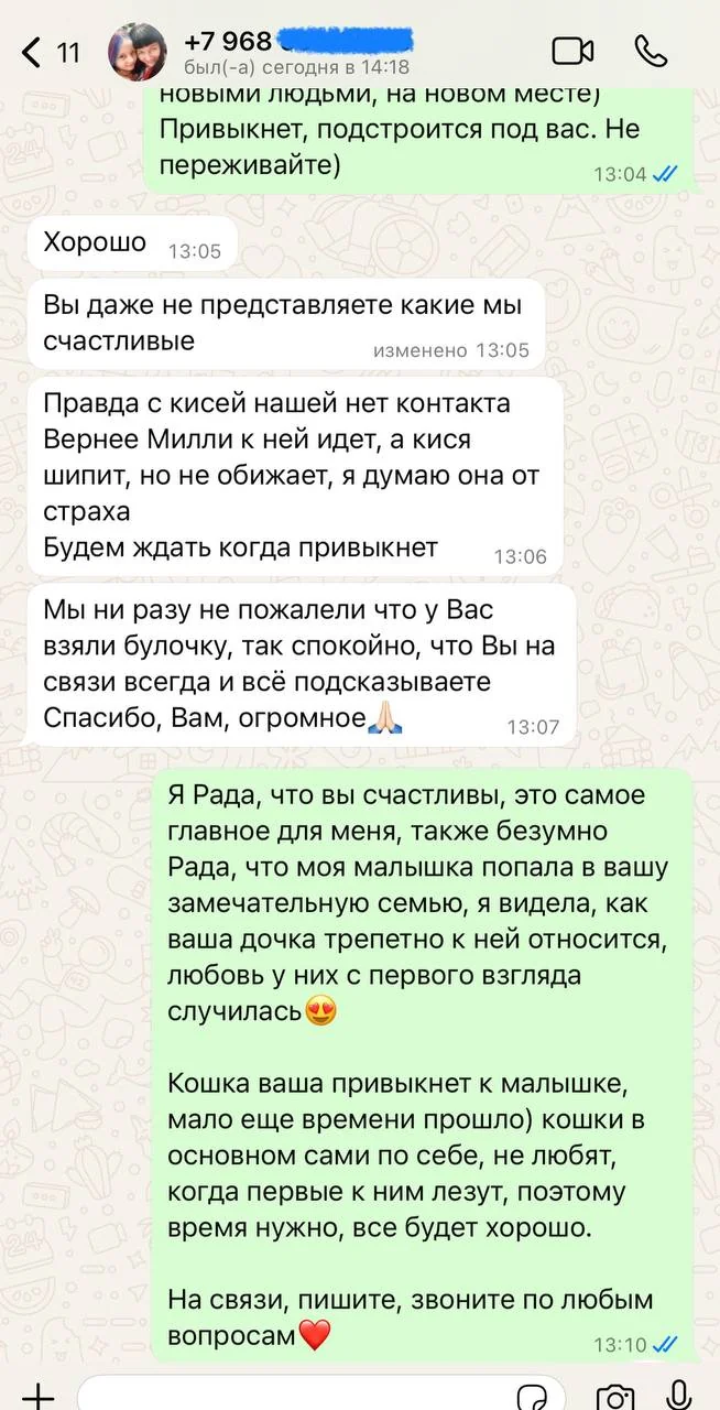 Отзыв владельца щенка