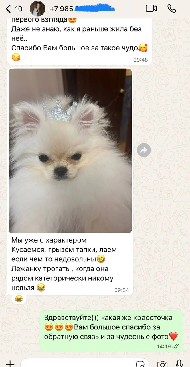 Отзыв владельца щенка