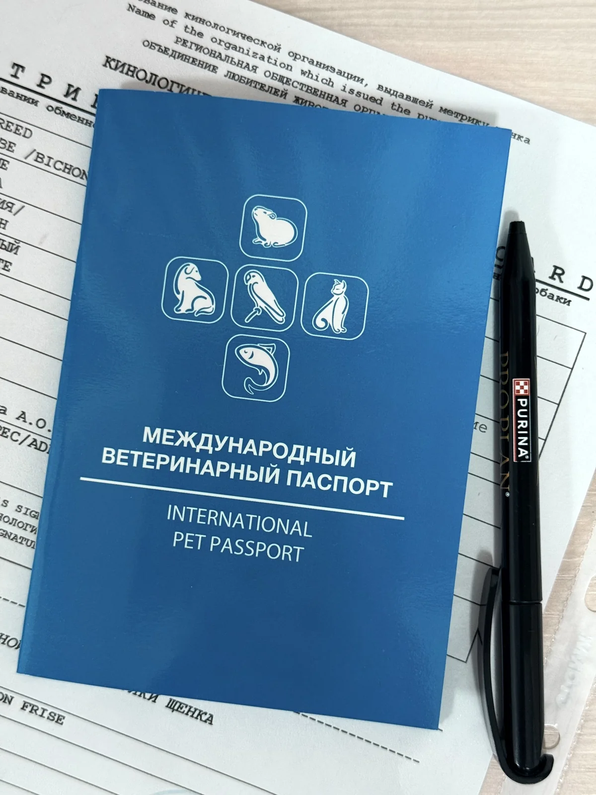 Щенок с метрикой и комплектом документов для переезда
