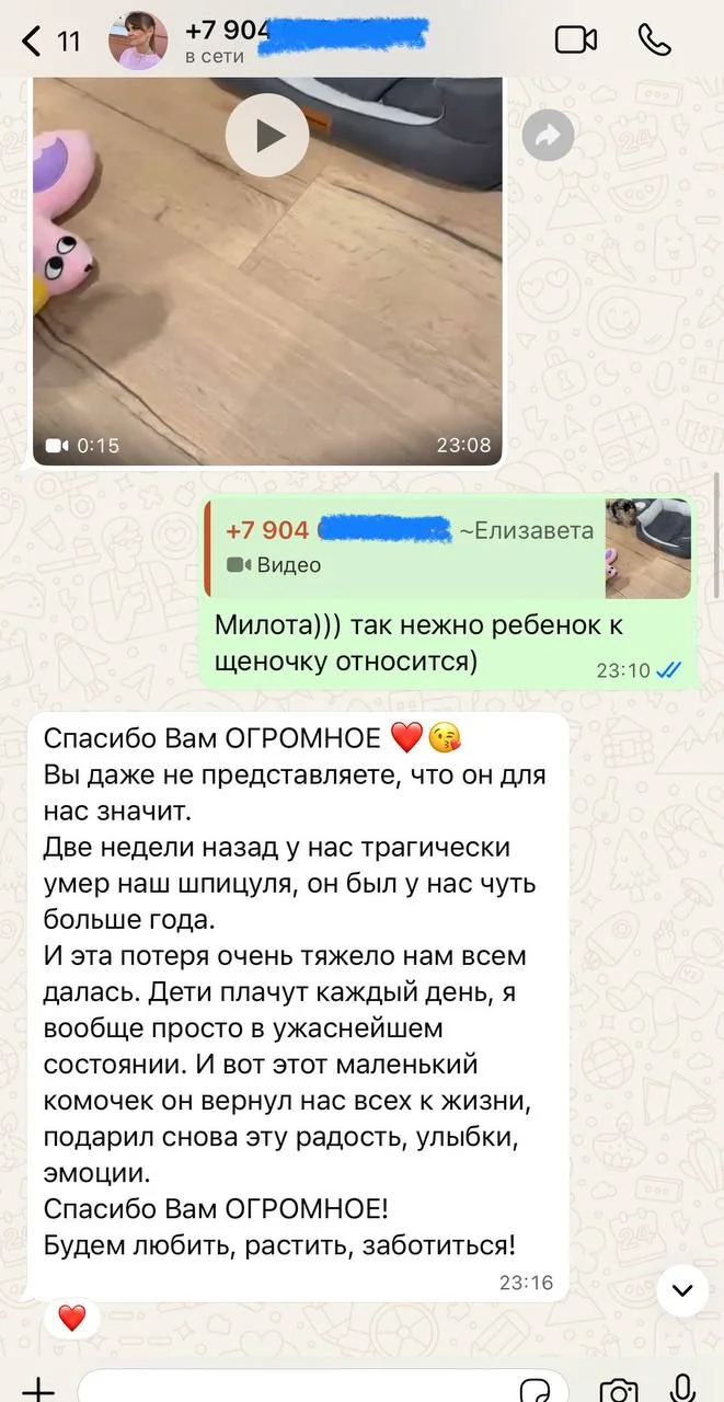 Отзыв владельца щенка