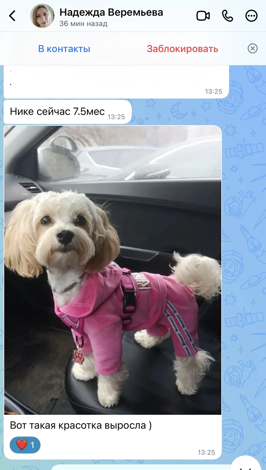 Отзыв владельца щенка