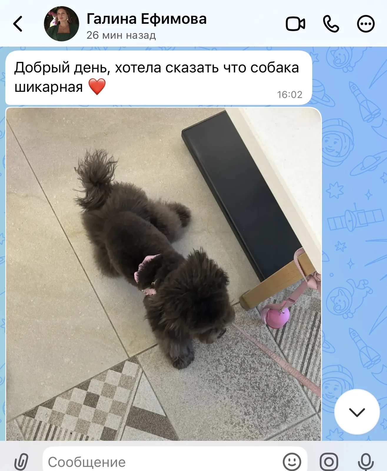 Отзыв владельца щенка