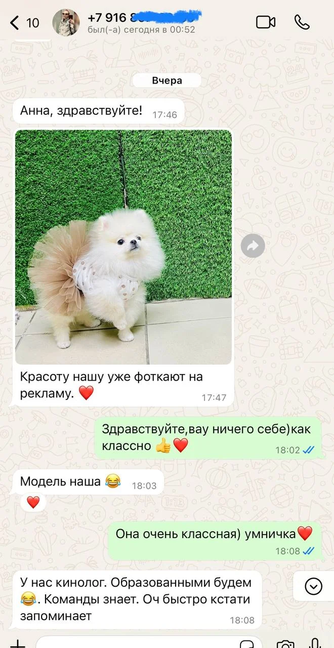 Отзыв владельца щенка