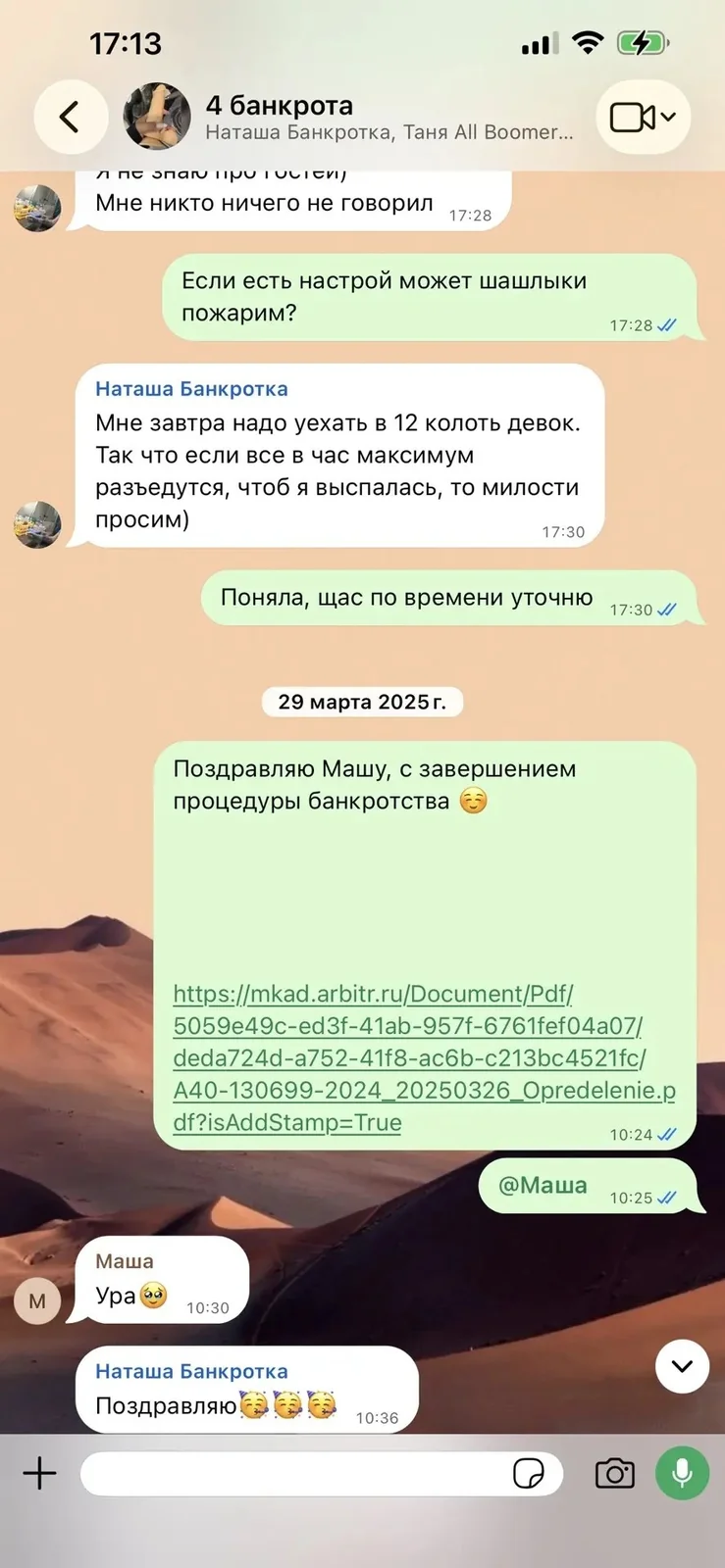 Скриншот переписки 5