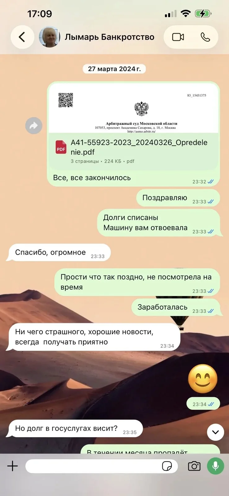 Скриншот переписки 2
