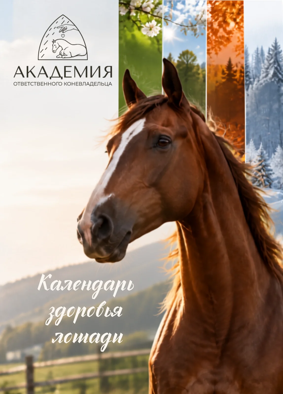 Обложка календаря «Здоровая лошадь — 365 дней»